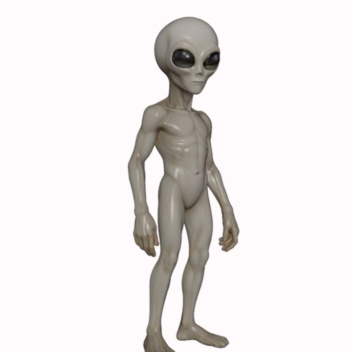 3D Printable Gray Visitor from Zeta Reticuli – Classic Alien